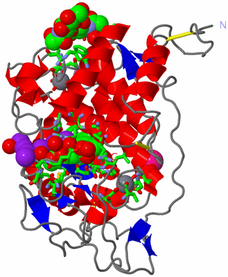 Image Asym./Biol. Unit - sites