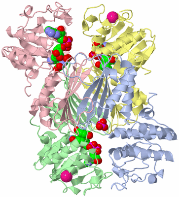 Image Asym./Biol. Unit