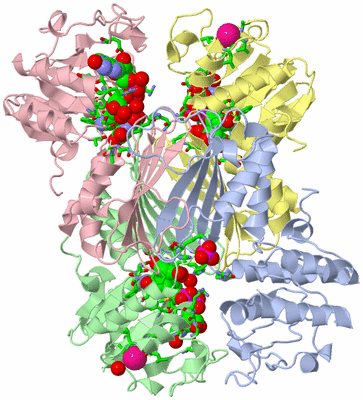 Image Asym./Biol. Unit - sites