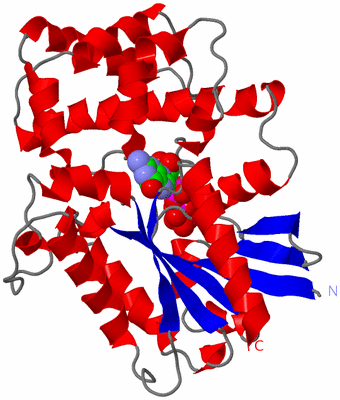 Image Asym./Biol. Unit