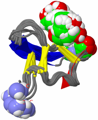 Image NMR Structure - all models