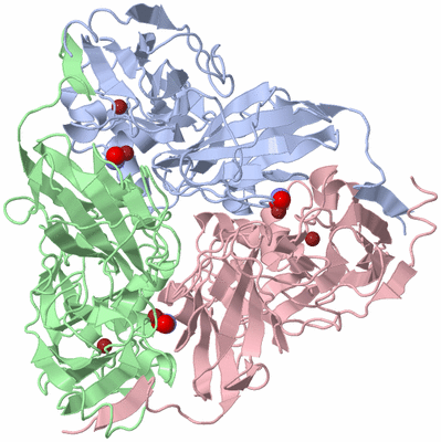 Image Asym./Biol. Unit