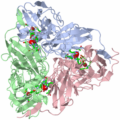 Image Asym./Biol. Unit - sites