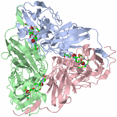 Image Asym./Biol. Unit - sites