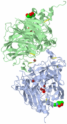 Image Biological Unit 1