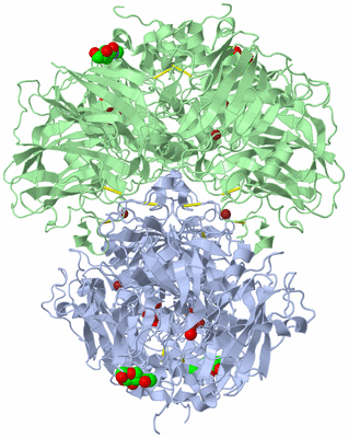 Image Biological Unit 2