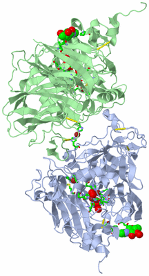 Image Biol. Unit 1 - sites