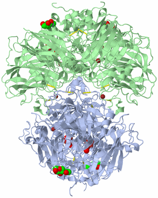 Image Biological Unit 2