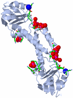 Image Biol. Unit 1 - sites