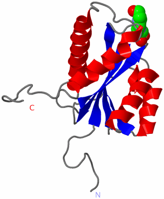Image Asymmetric Unit