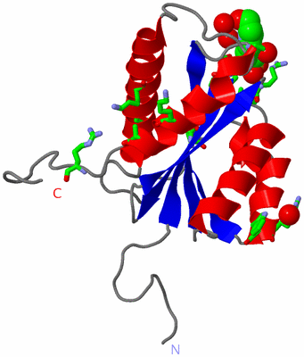 Image Asym. Unit - sites