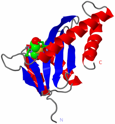 Image Asym. Unit - sites