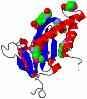 Image Asymmetric Unit