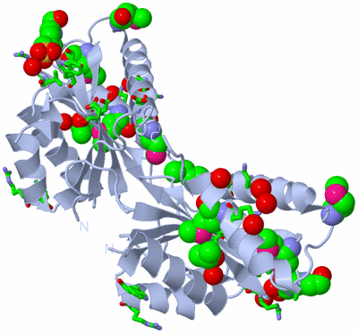 Image Biol. Unit 1 - sites