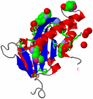 Image Asym. Unit - sites