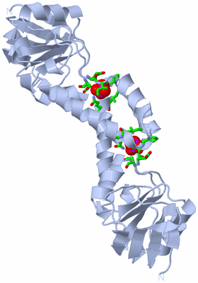 Image Biol. Unit 1 - sites