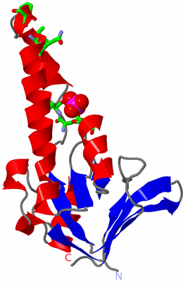 Image Asym. Unit - sites