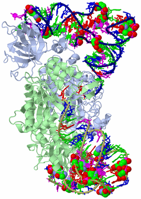 Image Asym./Biol. Unit