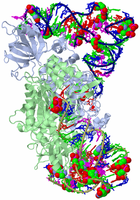 Image Asym./Biol. Unit