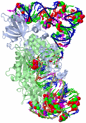 Image Asym./Biol. Unit - sites