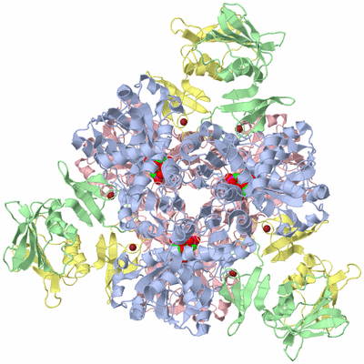 Image Biological Unit 1