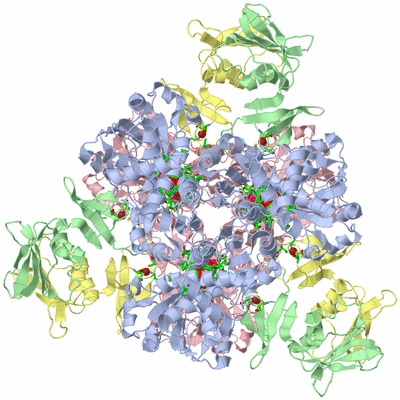 Image Biol. Unit 1 - sites