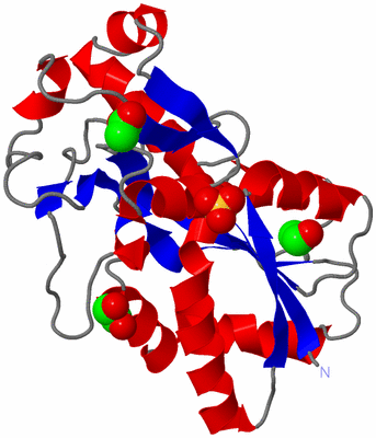 Image Asym./Biol. Unit