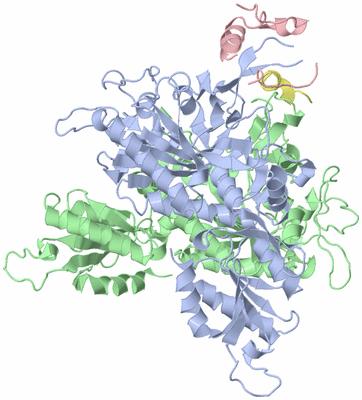 Image Asym./Biol. Unit