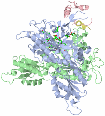 Image Asym./Biol. Unit - sites