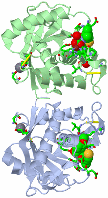 Image Biol. Unit 1 - sites