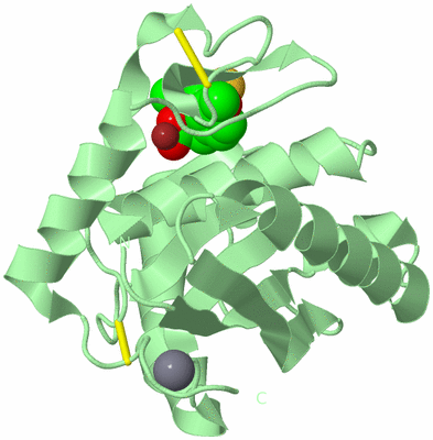 Image Biological Unit 3