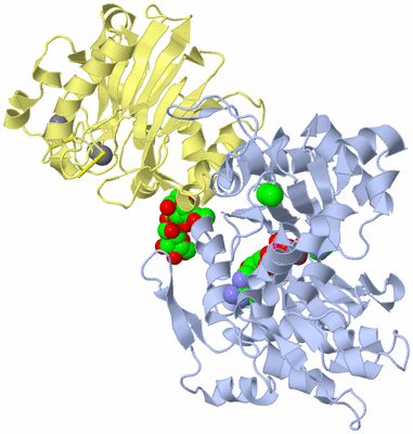 Image Asym./Biol. Unit