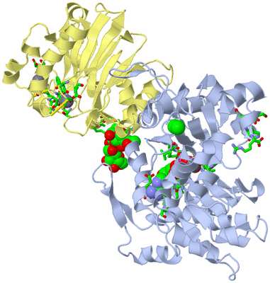 Image Asym./Biol. Unit - sites