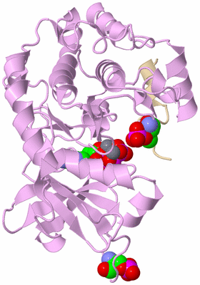 Image Asym./Biol. Unit