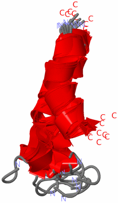 Image NMR Structure - all models