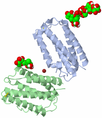 Image Asym./Biol. Unit