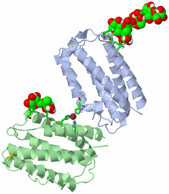 Image Asym./Biol. Unit - sites