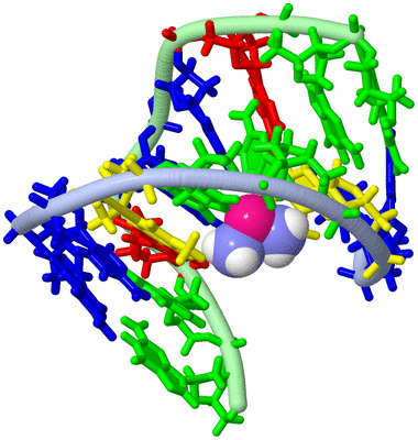 Image NMR Structure - model 1