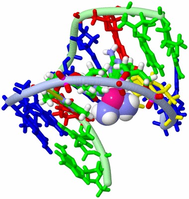 Image NMR Structure - model 1, sites