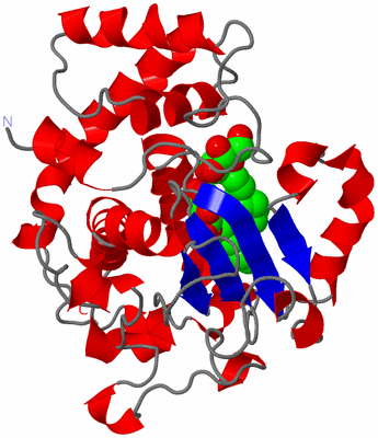 Image Asymmetric Unit