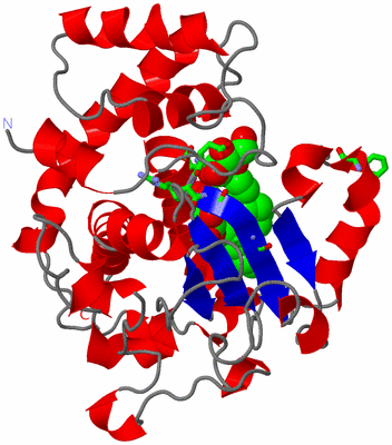 Image Asym. Unit - sites
