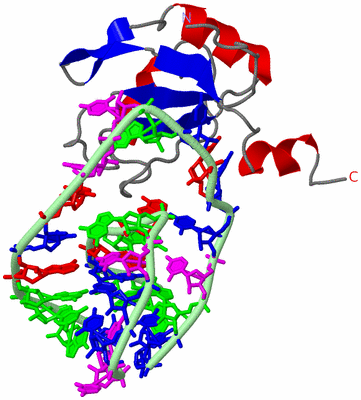 Image NMR Structure - model 1