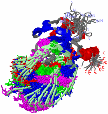 Image NMR Structure - all models