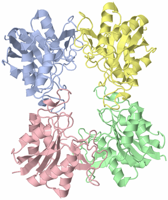 Image Asym./Biol. Unit