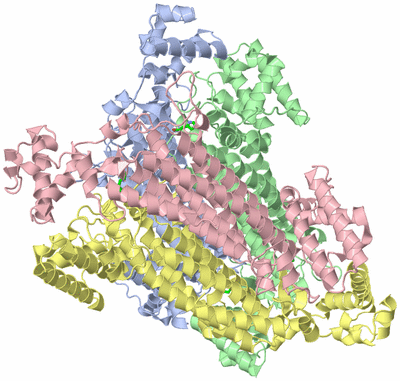 Image Asym./Biol. Unit - sites