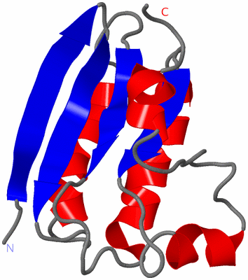 Image NMR Structure - model 1