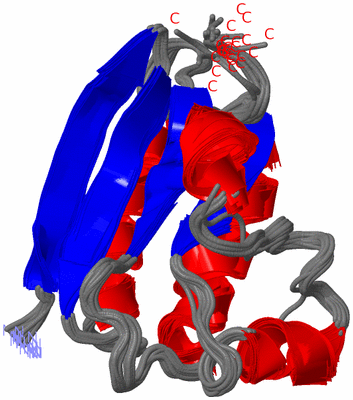 Image NMR Structure - all models