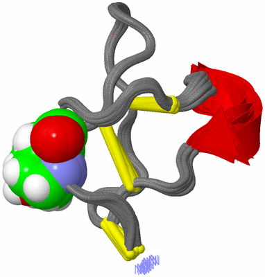 Image NMR Structure - all models