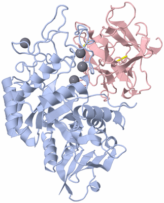 Image Biological Unit 1