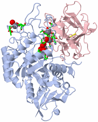 Image Biol. Unit 1 - sites